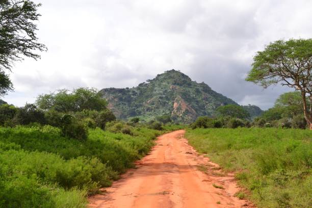 istock Scenic dirt road to green mountain 2180673884