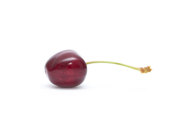Cherry isolated. Cherries on white background. Sour cherry on white.