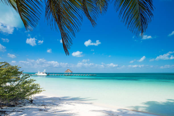 istock Summer beach landscape. Tropical island paradise. Tropical white sand beach with coco palms. Sand, blue sea water, turquoise ocean, sun sky white clouds 2180674939