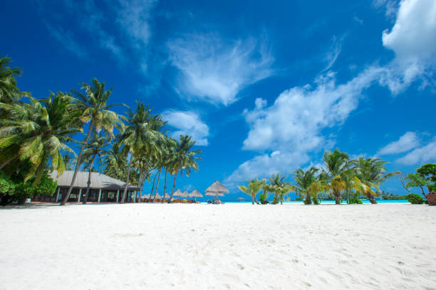 istock beach and tropical sea. beach landscape 2180674967