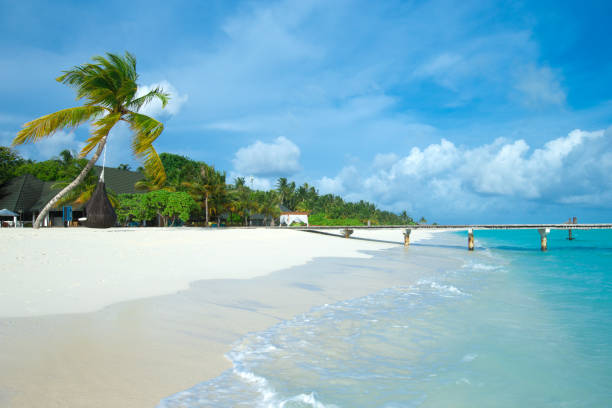 istock beautiful beach and tropical sea 2180674971