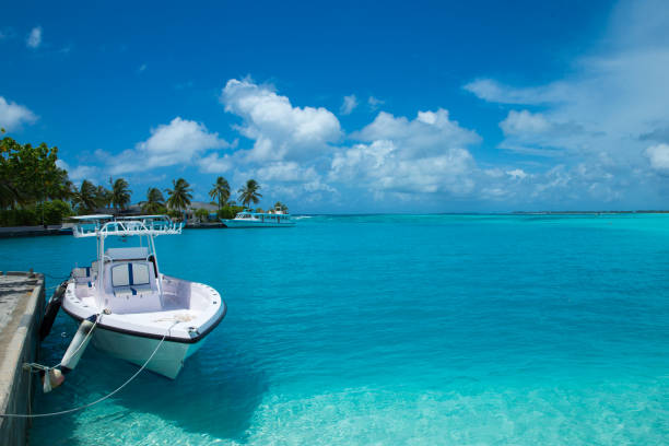 Blue sea and blue sky. Beach and sea.