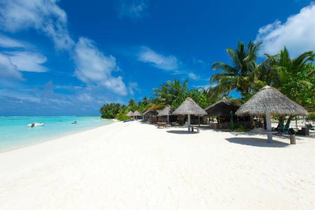 istock tropical Maldives island with white sandy beach and sea 2180674977