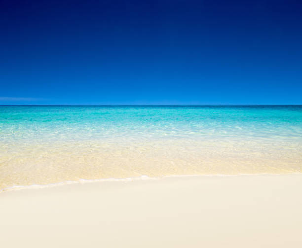 istock beach and tropical sea . nature background 2180675002