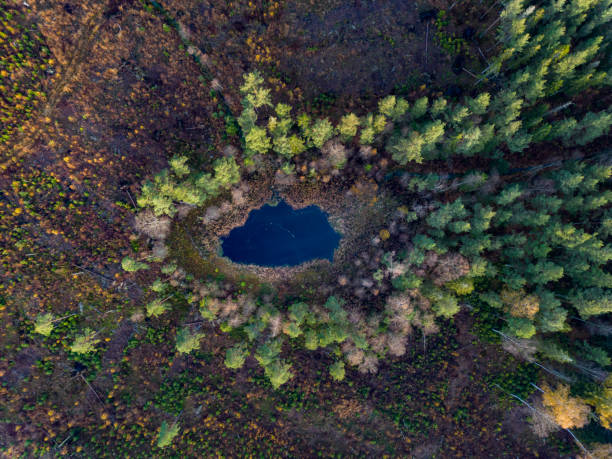 istock autumn from above forest and water 2180675783