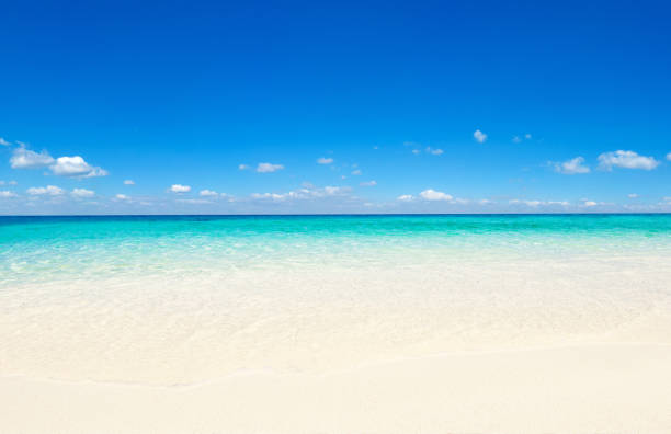 istock tropical Maldives island with white sandy beach and sea 2180676889