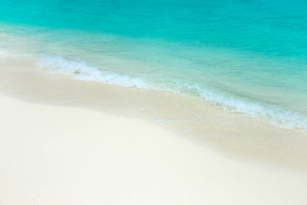 beach and tropical sea. beach landscape