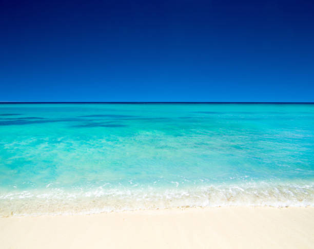 istock beach and tropical sea . nature background 2180676996
