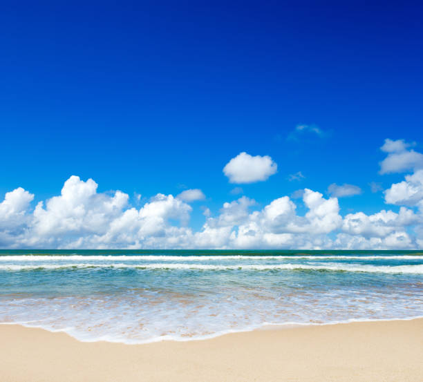 istock tropical Maldives island with white sandy beach and sea 2180677002