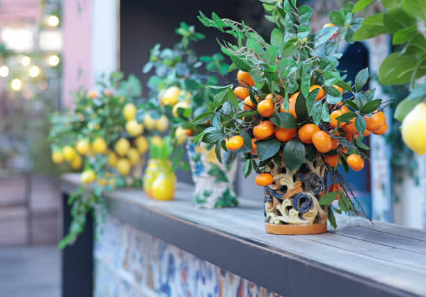 istock Branch with lemons, tangerines in ceramic vase on table. Traditional pattern, Sicily, Italy. 2180678354