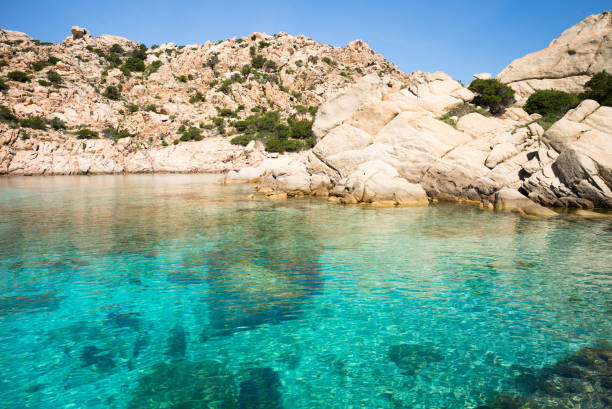 The beautiful beach of Cala Coticcio, in Caprera, looks splendid in the middle of spring. There is no one there. The sea is clean and transparent. The beauty of nature takes over.