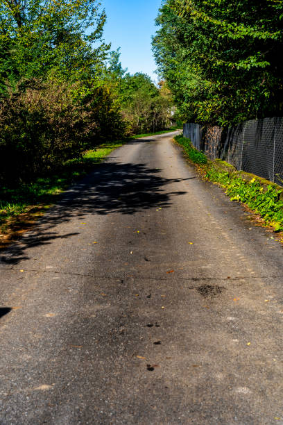 istock A road in the forest. A road in the fall 2180682333