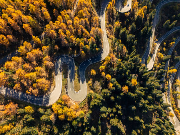 istock Serpentine Road Winding Through Autumn Forest 2180683136