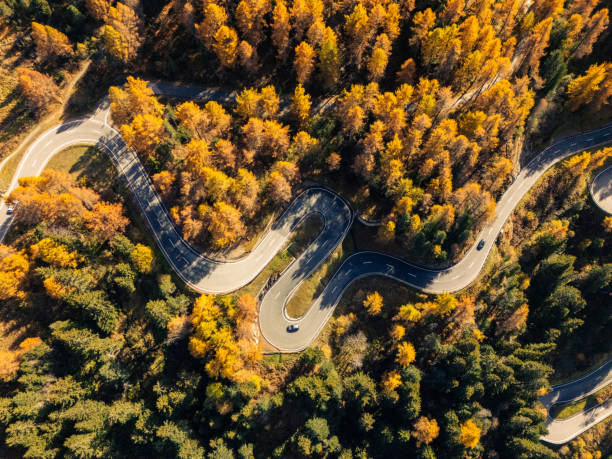 istock Serpentine Road Winding Through Autumn Forest 2180683376