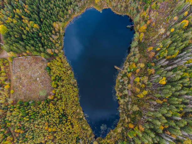 istock lake surrounded by forest in vibrant autumn colours. 2180684758