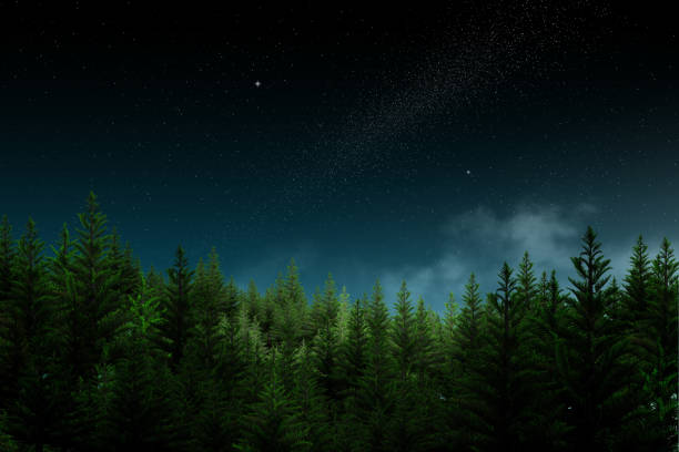 The sky is adorned with clouds and stars, while a beautiful fir tree stands beneath the shimmering night.