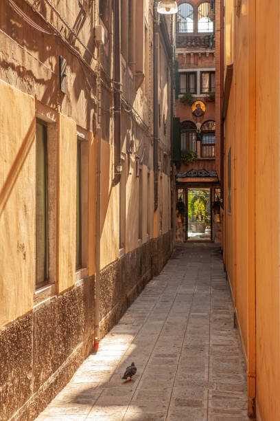 istock Narrow Street in Venice 2180687317