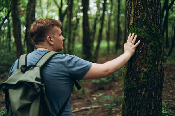 Man Touch of tree in the forest. Caring for the environment. The ecology the concept of saving the world and love nature by human.