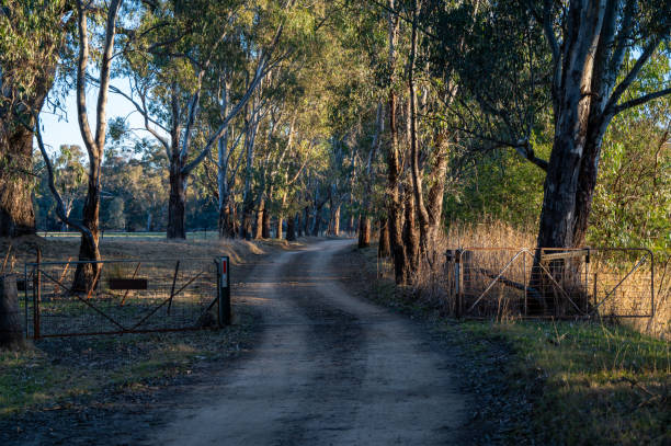 istock Country roads along the Murray River 2180693717