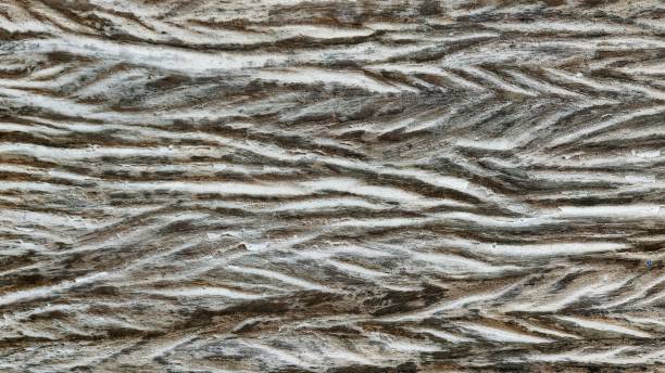 istock close up of wooden texture 2180701190