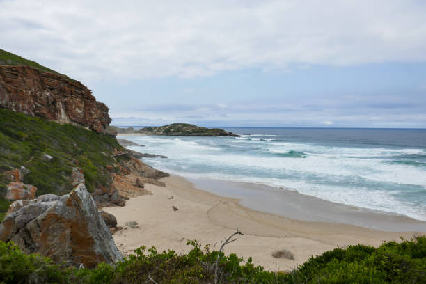 istock Robberg Nature Reserve, South Africa 2180703600