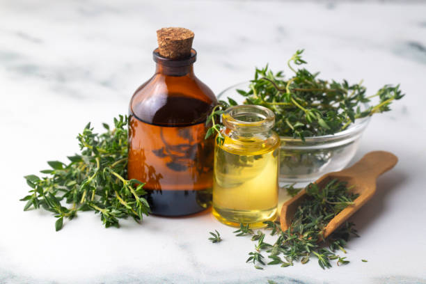 istock Green thyme and thyme oil 2180703975