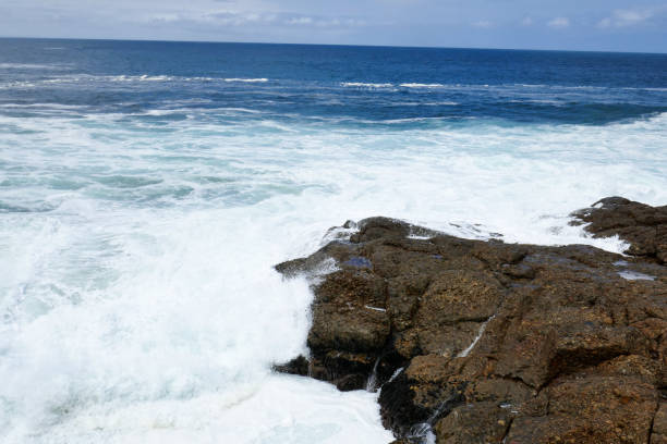 Robberg Nature Reserve, close to Plettenberg Bay, is a inshore conservation area in the Western Cape province of South Africa.