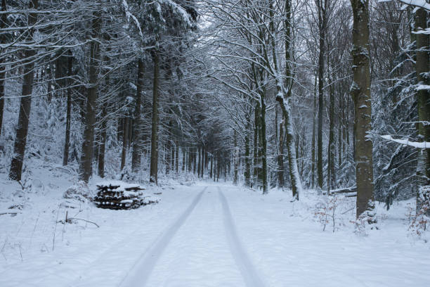 White snowy landscape after heavy snowfall in Overijssel during a cold winter day in The Netherlands.