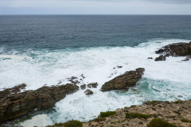 Robberg Nature Reserve, close to Plettenberg Bay, is a inshore conservation area in the Western Cape province of South Africa.