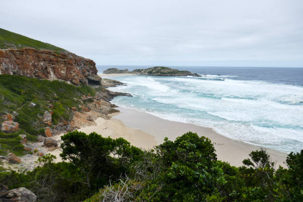 istock Robberg Nature Reserve, South Africa 2180704554