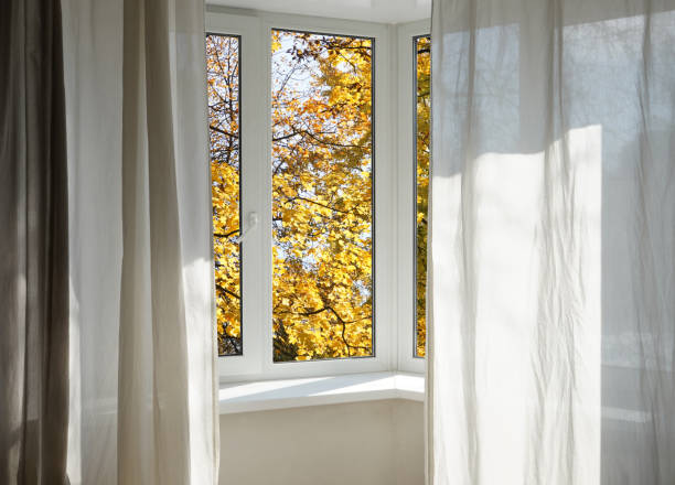 istock View from the window, yellow trees, landscape with forest. 2180711070