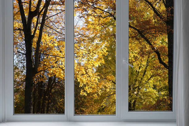 istock View from the window, yellow trees, landscape with forest. 2180711071