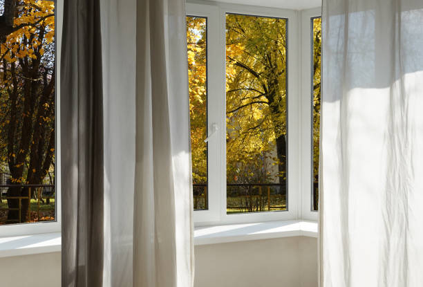 istock View from the window, yellow trees, landscape with forest. 2180711079