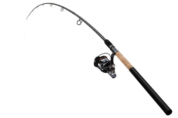 feeder rod for fishing