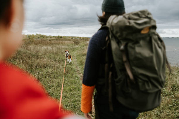 Photo series of a couple hiking with the dog near the sea.