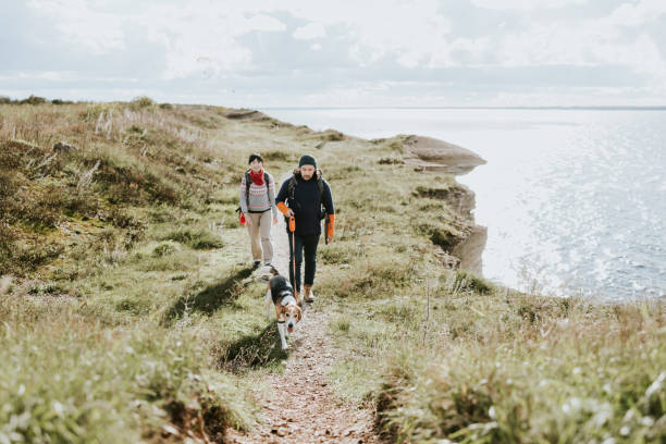 istock As they stroll along the cliff's edge, the couple and their exuberant dog share smiles, soaking in the stunning coastal views. 2180718310