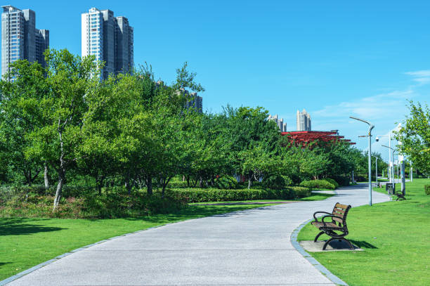 istock Curved pathway through the beautiful city park 2180720149