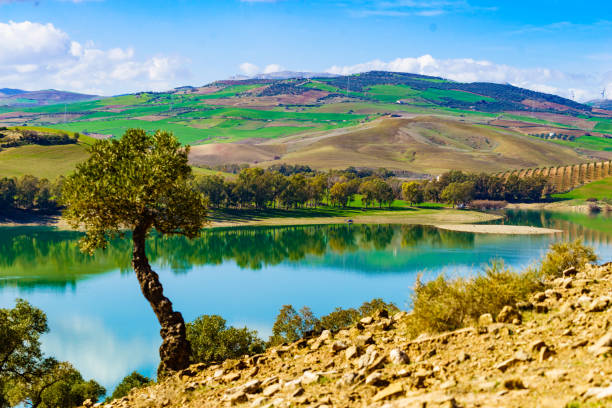 istock Spanish nature landscape in Andalucia. 2180720241