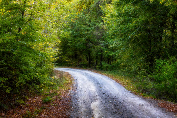 istock Scenic Journey Through Leafy Country Roads 2180723643