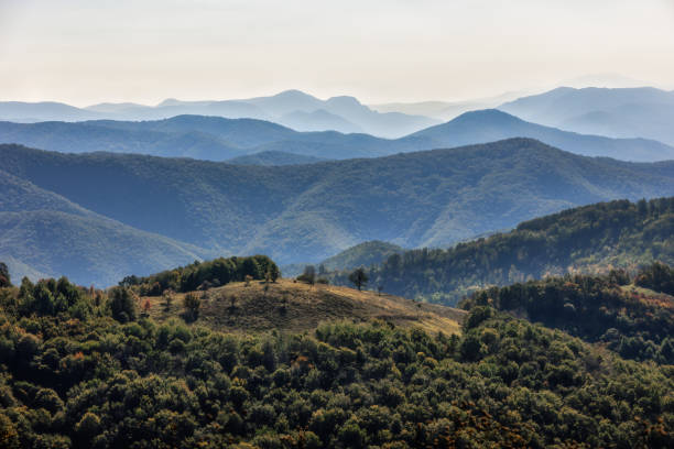 Nature's Splendor,Exploring the High Mountains and Verdant Forests