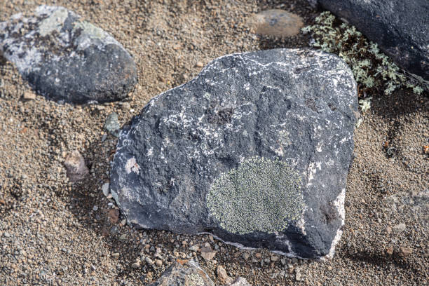 Large rock in the arctic landscape on Disko Island outside Ilulissiat in western Greenland