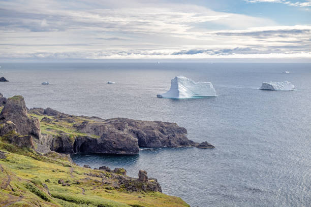 istock Lush arctic coast with icebergs behind 2180725336