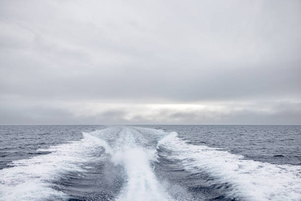 Wake from a fast boat on the arctic sea in one of the fjords outside Ilulissiat in western Greenland