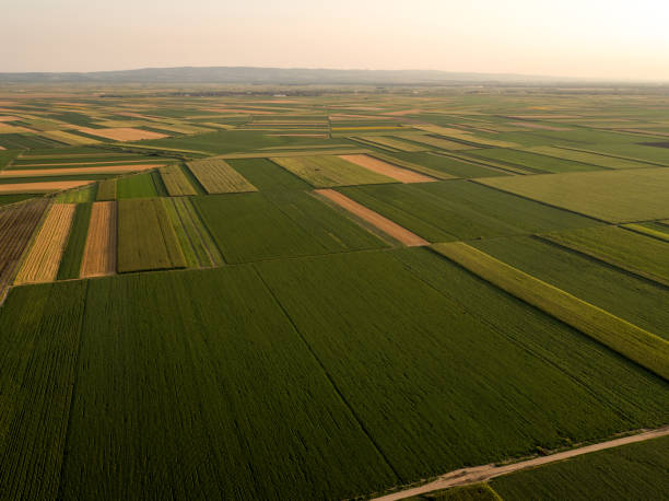 istock Green agricultural fields during harvest season 2180727633