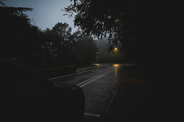 istock Road in the Forest 2180730750