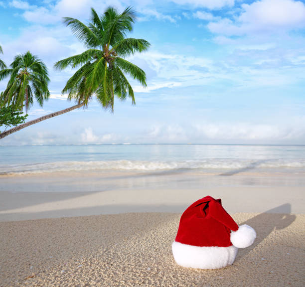 istock Christmas background with red Santa hat and palm tree branch on Caribbean beach. 2180731026