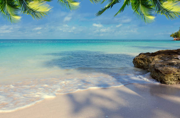 Tropical palm trees on the Caribbean beach and blue sky background.
