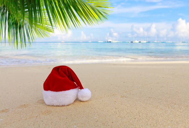 istock Christmas background with red Santa hat and palm tree branch on Caribbean beach. 2180731450