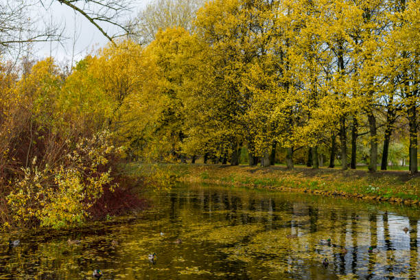 istock Golden autumn in the park 2180731563