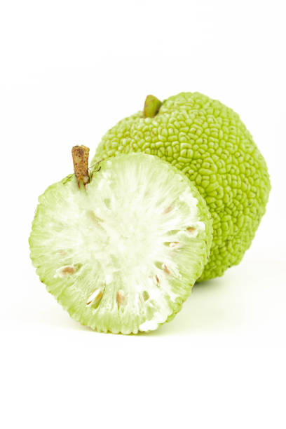 istock Maclura Orange exotic fruit on white background 2180737269